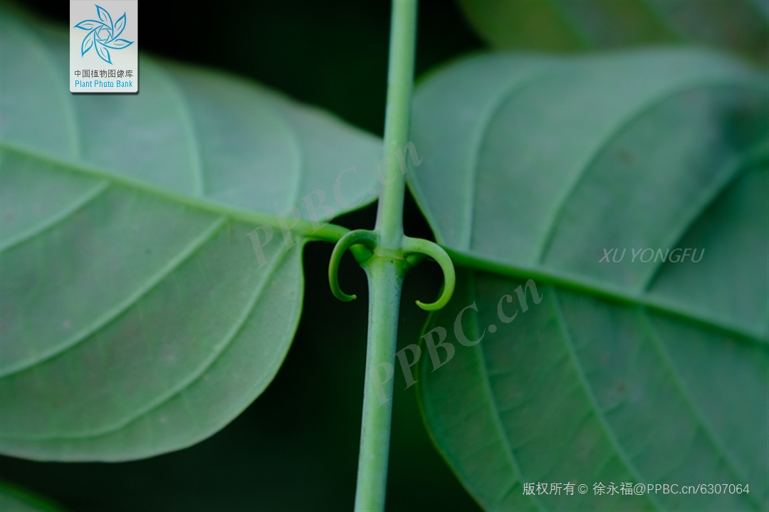 1712410748247721.jpg 1712410748247721.jpg