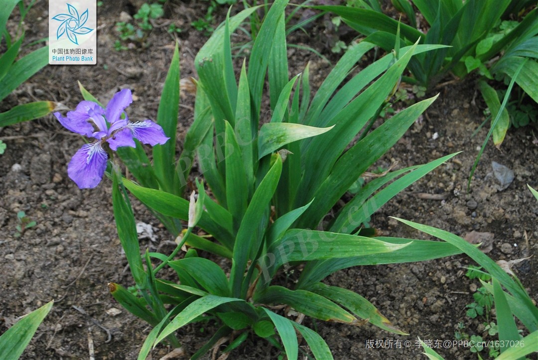 1712579840566771.jpg 1712579840566771.jpg